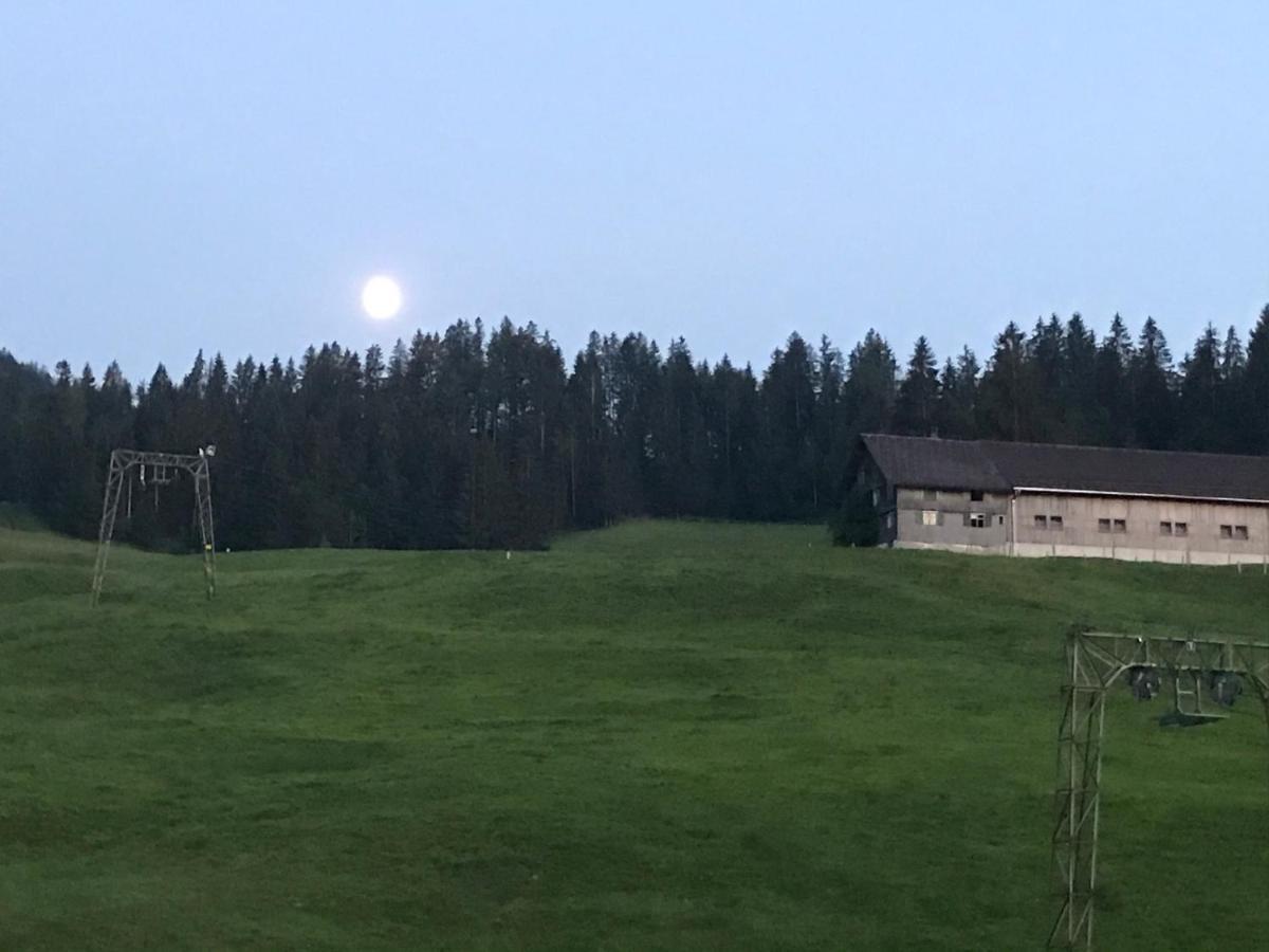 Kleine Am Rande Der Wildnis Apartment