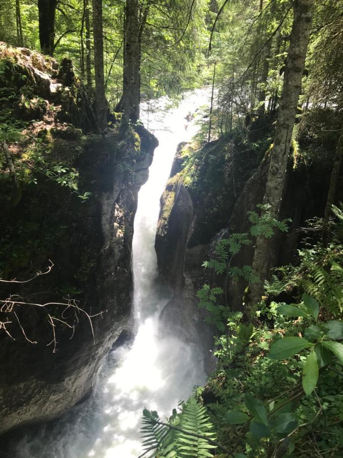 Appartement Kleine Am Rande Der Wildnis Sibratsgfäll