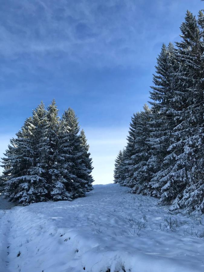 Kleine Am Rande Der Wildnis *