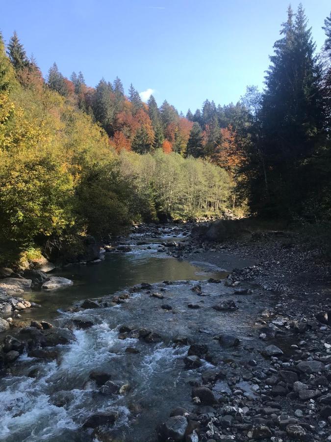 Kleine Am Rande Der Wildnis Apartment Sibratsgfall
